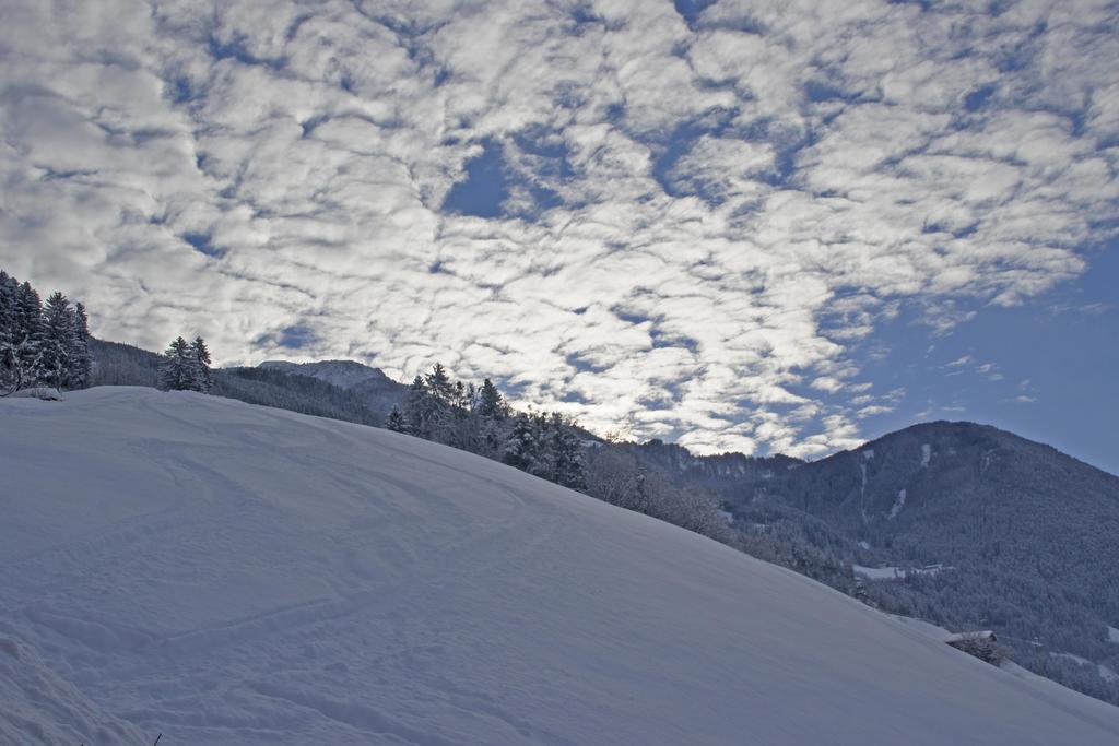 Haus Alpenfriede Daire Ramsau im Zillertal Dış mekan fotoğraf