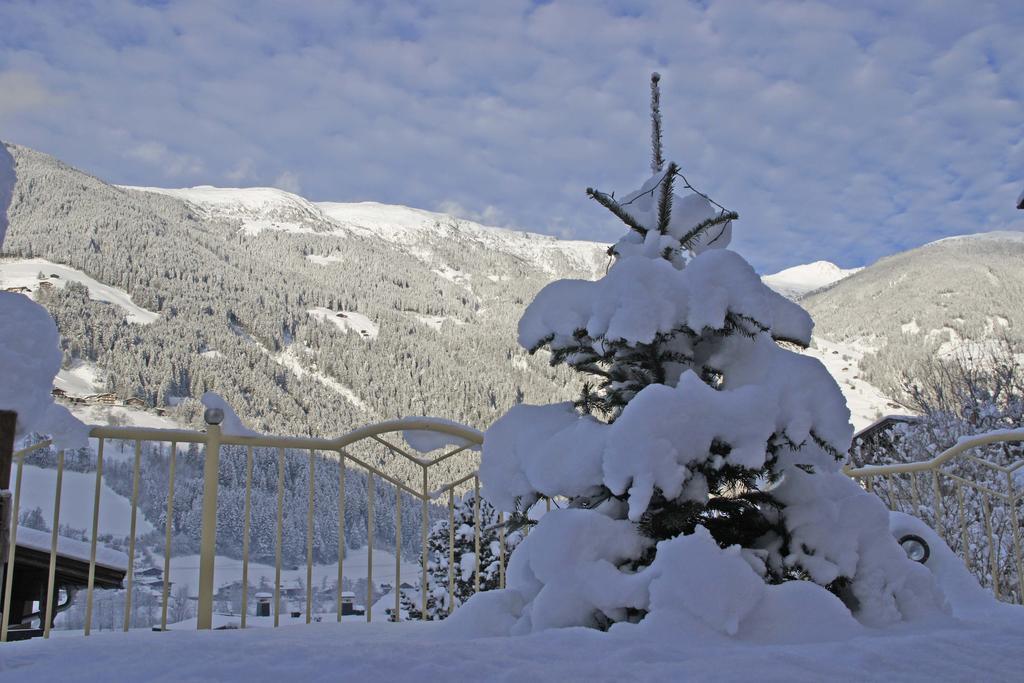 Haus Alpenfriede Daire Ramsau im Zillertal Dış mekan fotoğraf