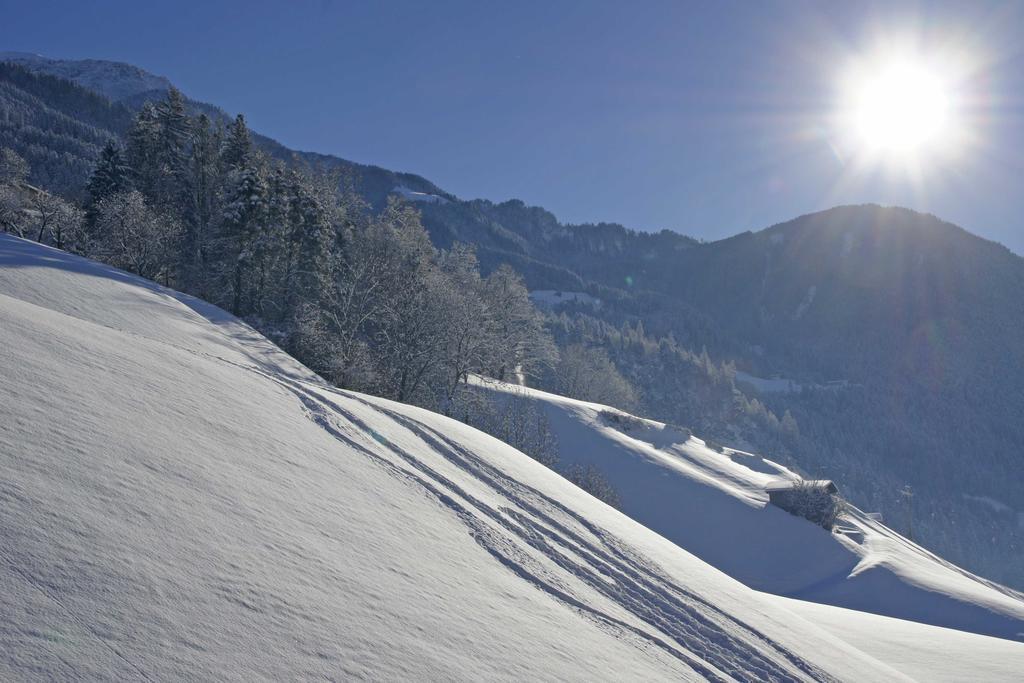 Haus Alpenfriede Daire Ramsau im Zillertal Dış mekan fotoğraf