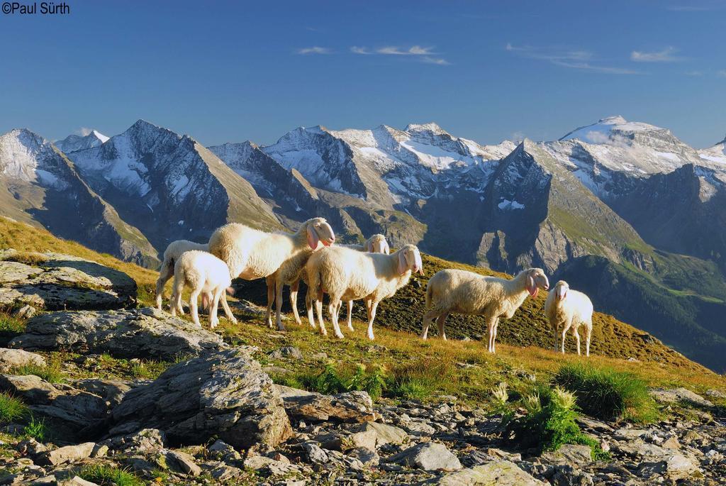 Haus Alpenfriede Daire Ramsau im Zillertal Oda fotoğraf