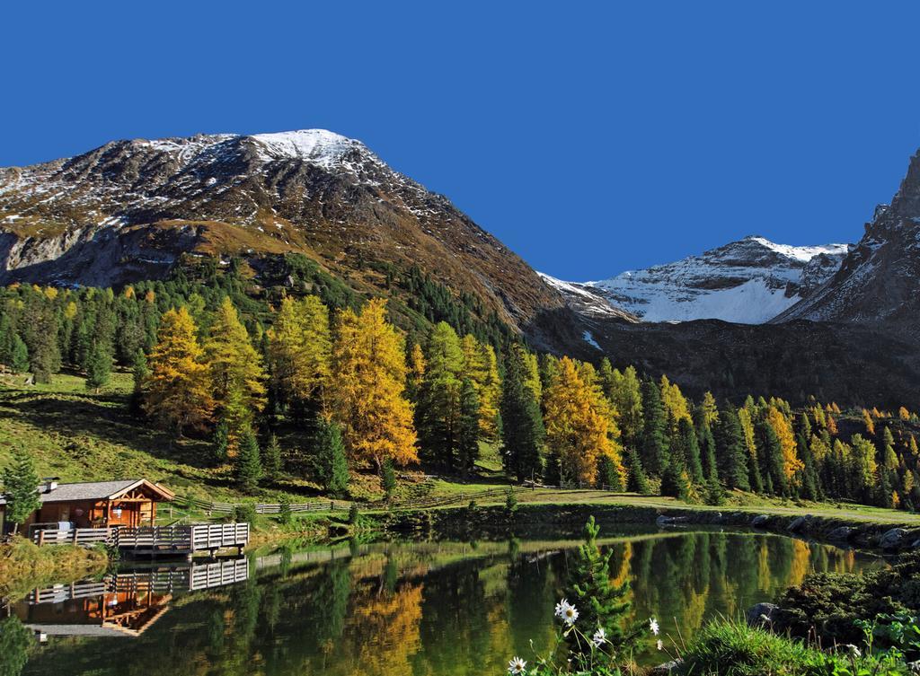 Haus Alpenfriede Daire Ramsau im Zillertal Dış mekan fotoğraf