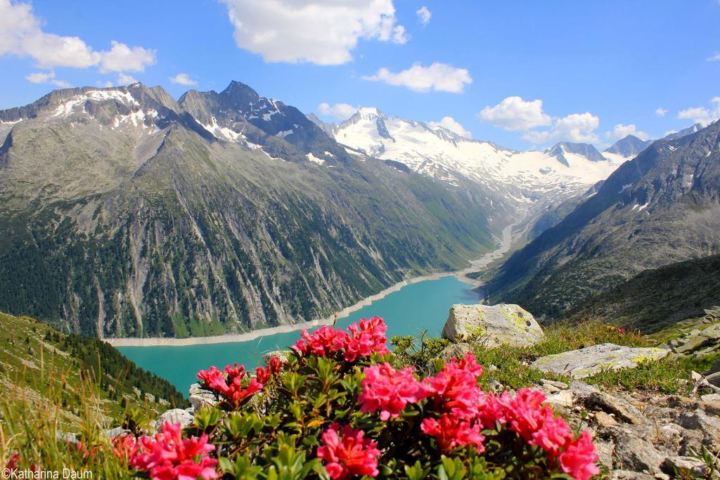 Haus Alpenfriede Daire Ramsau im Zillertal Dış mekan fotoğraf